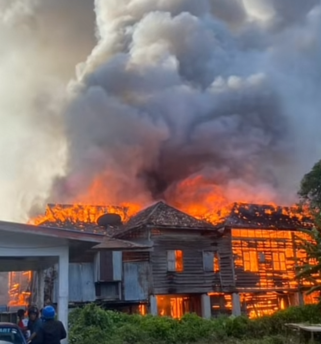 Ngôi nhà bốc cháy dữ dội, bà cụ cùng 70 con mèo thiệt mạng Ảnh 1