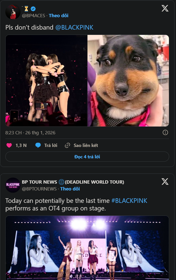 BLACKPINK tan rã sau đêm diễn cuối cùng của world tour? Ảnh 3