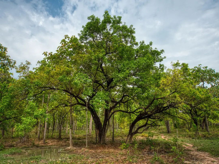 Những điểm đến nổi tiếng ở quê Á hậu Cẩm Ly - người đang vướng tin đồn hẹn hò Đình Bắc Ảnh 7