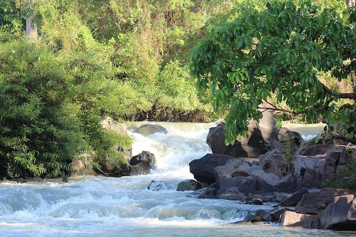 Những hình ảnh tại Vườn quốc gia Yok Đôn.
