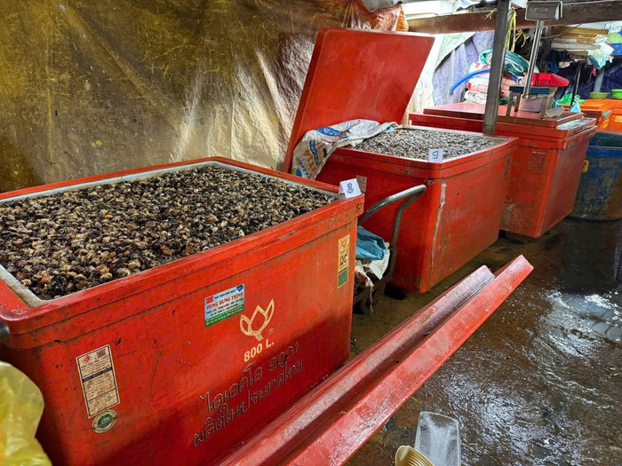 Hình ảnh bên trong cơ sở ngâm ốc bưu bằng hoá chất. Ảnh: Bộ Công an