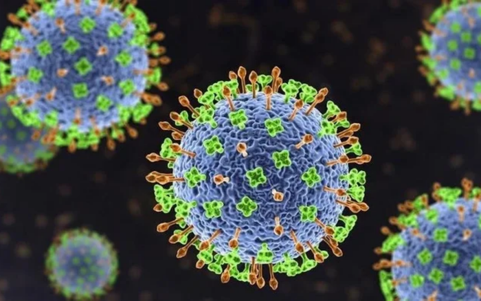 Virus Nipah vẫn sẽ còn được tìm kiếm kéo dài trong vài ngày tiếp theo.