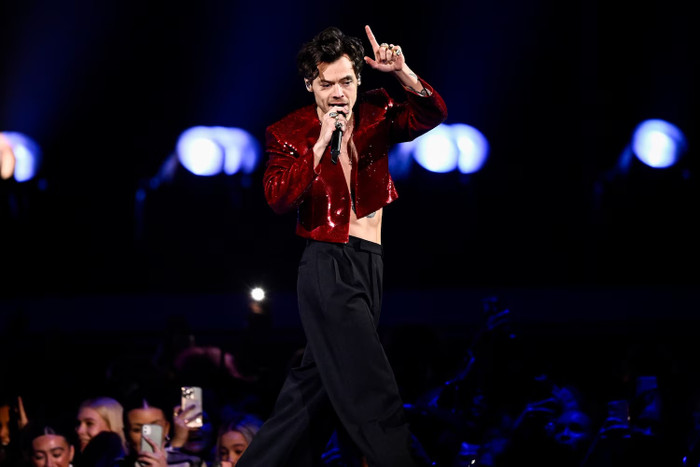 Tour diễn của Harry Styles đối mặt làn sóng tẩy chay Ảnh 2