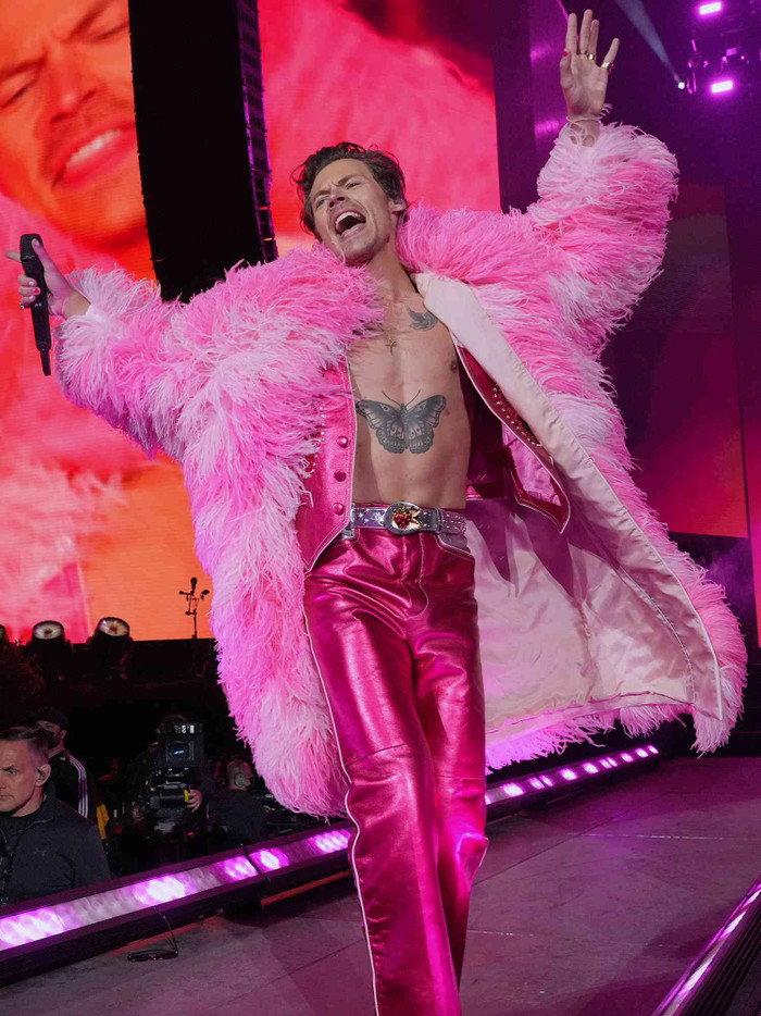 Tour diễn của Harry Styles đối mặt làn sóng tẩy chay Ảnh 4