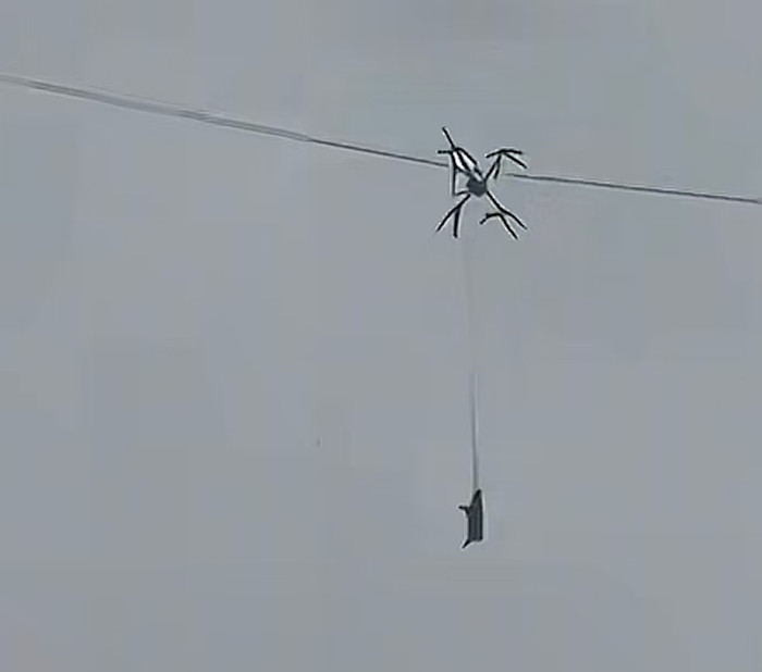 Con lợn lơ lửng trên trời suốt nhiều giờ, cảnh tượng khiến dân làng xôn xao Ảnh 1