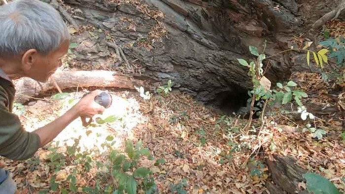 Xôn xao con lươn khổng lồ 800 năm tuổi, người dân đến hang ổ kiểm tra Ảnh 4