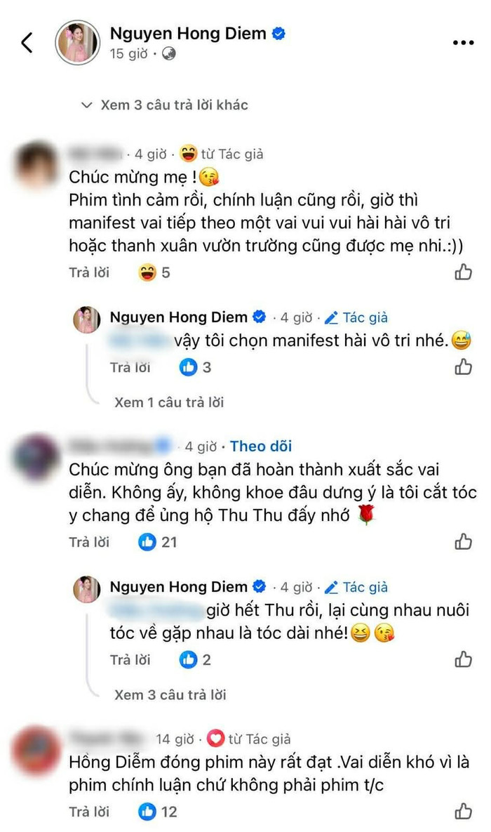 Phản ứng của khán giả bên dưới bài đăng Hồng Diễm (Ảnh: Chụp màn hình).