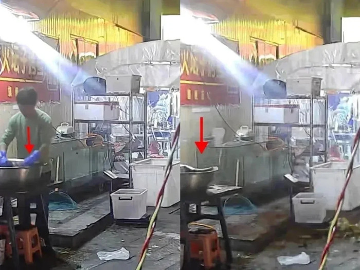 Đem thức ăn cho mèo hoang, sự việc xảy ra ngay sau đó khiến chủ quán cá nướng 'rụng rời' Ảnh 2