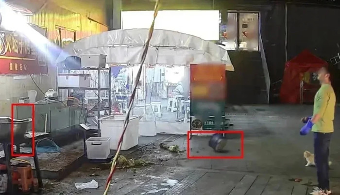 Đem thức ăn cho mèo hoang, sự việc xảy ra ngay sau đó khiến chủ quán cá nướng 'rụng rời' Ảnh 3