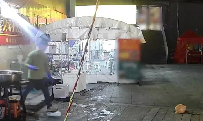 Đem thức ăn cho mèo hoang, sự việc xảy ra ngay sau đó khiến chủ quán cá nướng 'rụng rời' Ảnh 1