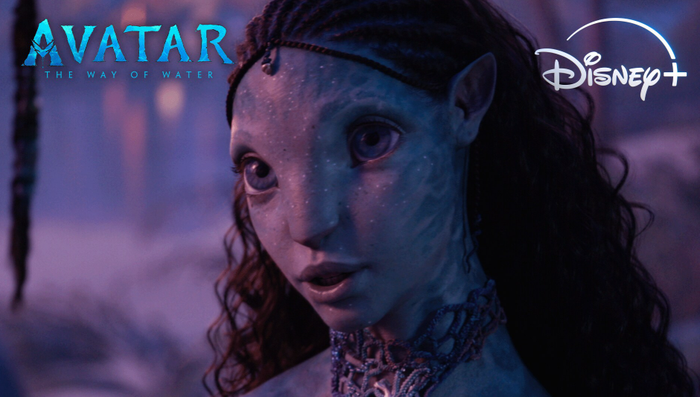 Avatar 2: Dòng Chảy Của Nước bất ngờ vươn lên vị trí phim điện ảnh được xem nhiều nhất toàn cầu trên Disney+ nhờ sức nóng từ Avatar 3