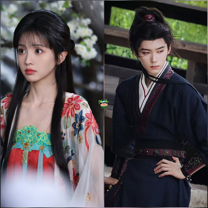 Mang màu sắc điền văn cổ trang, Gả Kim Thoa xoay quanh một tiểu thư khuê các phải đối mặt với biến cố gia đình. Nhờ sự khéo léo và thông minh, nàng từng bước thay đổi số phận và tìm thấy hạnh phúc bên người luôn âm thầm bảo vệ mình.