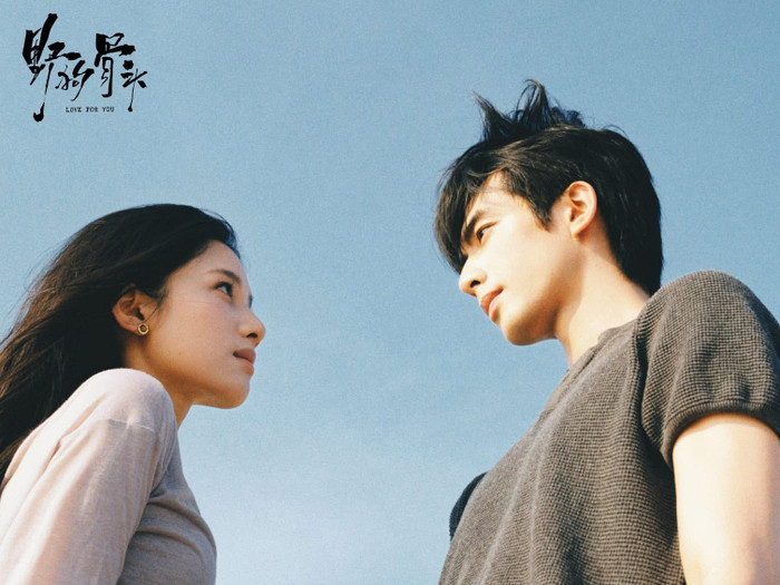 Phim Chó Hoang Và Xương (Ảnh: Weibo).