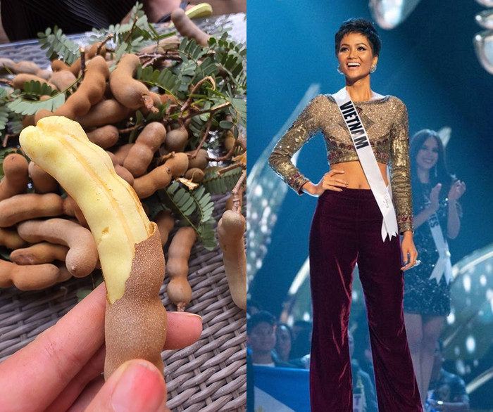 H'Hen Niê chia sẻ về thành quả sau nhiều năm trồng cây me ở nhà vườn 2500m2.&nbsp;