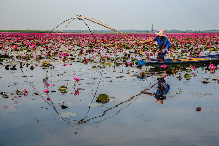 Những cảnh đẹp bình dị ở miền Tây sông nước.