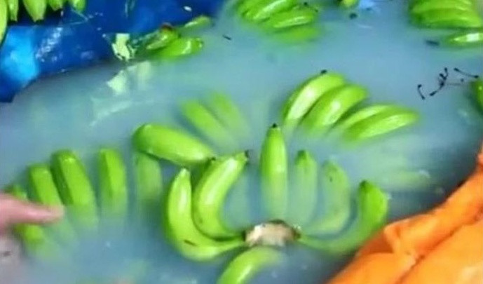 Việc sử dụng loại trái cây ngâm hoá chất lâu ngày làm tăng nguy cơ mắc bệnh mạn tính. Ảnh minh hoạ