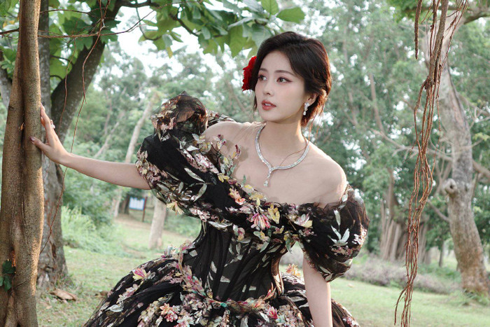 Bạch Lộc được cho là đã mua xe tặng bạn thân trong những ngày đầu năm. Ảnh: Weibo