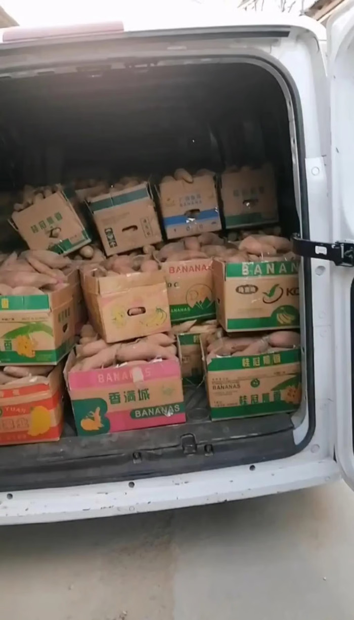 Một lô khoai lang chất đầy phía sau xe tải. Jia đang nhận hàng theo từng đợt. Ảnh: QQ.com