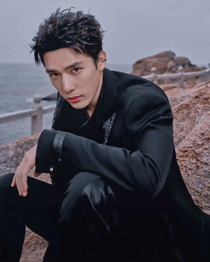 Vương An Vũ được biết đến qua Mộng Hồi Đại Thanh, sau đó dần ghi điểm với Cùng Em Bay Lượn Theo Gió và Con Đường Rực Lửa. Các dự án như Thần Ẩn và Xứng Đáng Để Yêu giúp anh mở rộng hình ảnh sang nhiều thể loại.