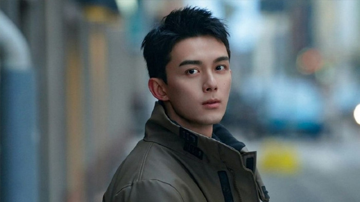 Ngô Lỗi ghi dấu ấn mạnh mẽ với Tinh Hán Xán Lạn và Trường Ca Hành, hai tác phẩm giúp anh khẳng định hình ảnh nam chính. Trước đó, anh từng tham gia Lang Nha Bảng, Đạo Mộ Bút Ký: Sa Hải và gần đây là Giữa Cơn Bão Tuyết.