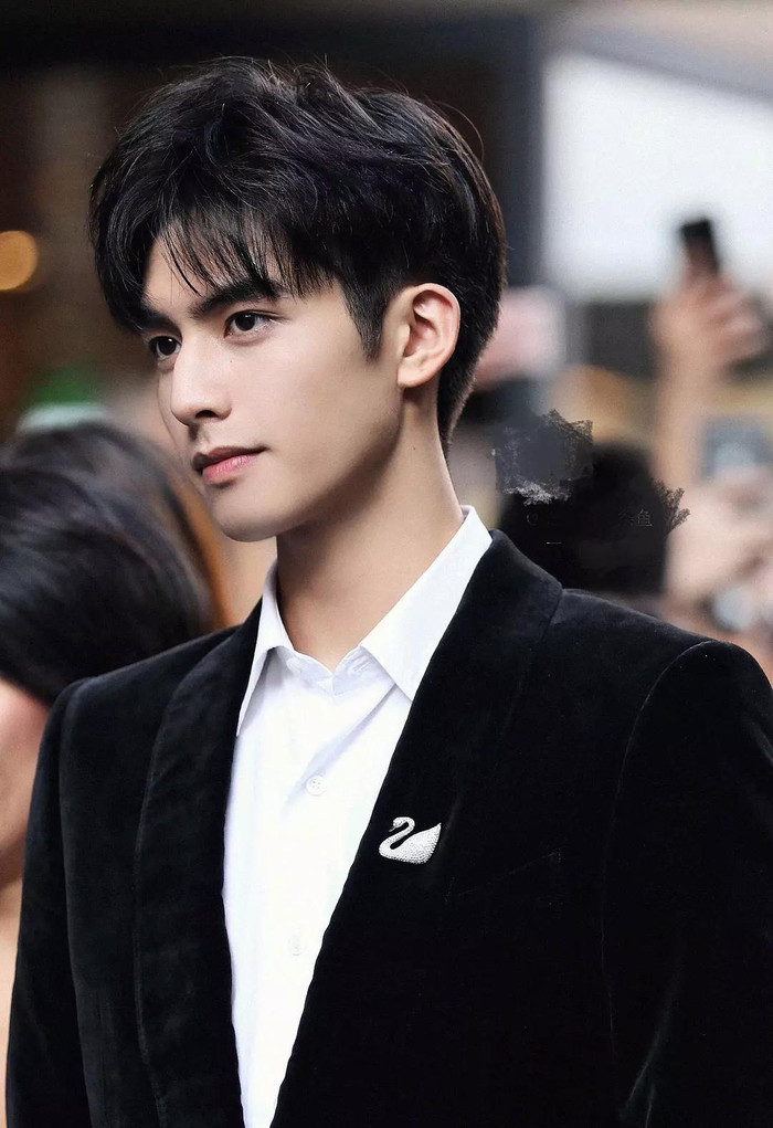 Tống Uy Long được khán giả biết đến rộng rãi qua Lấy Danh Nghĩa Người Nhà, bộ phim gia đình giúp anh khẳng định hình ảnh trưởng thành hơn. Trước đó, nam diễn viên từng gây chú ý với loạt phim cổ trang như Phượng Tù Hoàng, Thiếu Hoa Nhược Cẩm và Thư Sinh Xinh Đẹp.