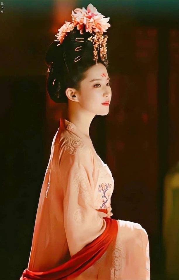 Khi sao Hoa ngữ hóa mỹ nhân nhà Đường: Dương Mịch, Lưu Thi Thi sang trọng; Lưu Diệc Phi đẹp rung động Ảnh 17
