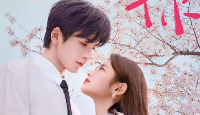 Phim kể về mối quan hệ nhẹ nhàng giữa bác sĩ Hà Tô Diệp và cô gái Thẩm Tích Phàm, nhấn mạnh sự đồng hành và thấu hiểu trong tình yêu trưởng thành.