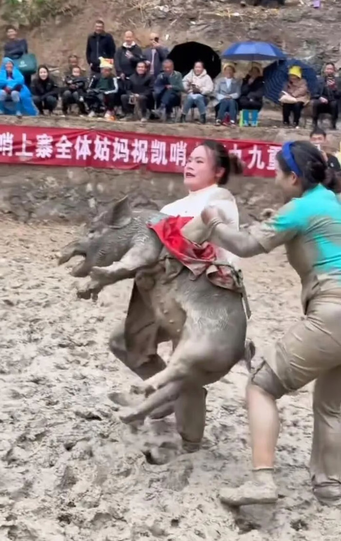 Wen vật lộn với một con lợn đang kêu eng éc trong khi một người phụ nữ khác cố gắng chen vào. Ảnh: The Paper