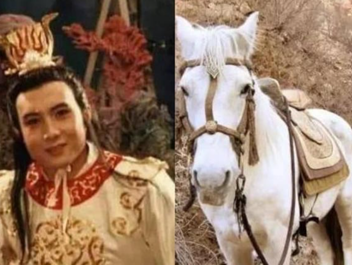 Bạch Long Mã hoàn thành hành trình chuộc tội, được phong Bát Bộ Thiên Long Quảng Lực Bồ Tát