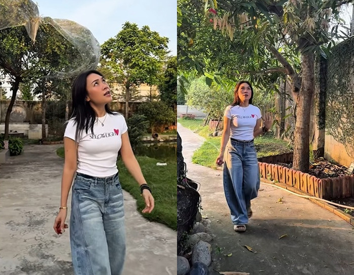 Mỹ Tâm khoe thành quả trong sân vườn sau 4 năm chăm sóc.