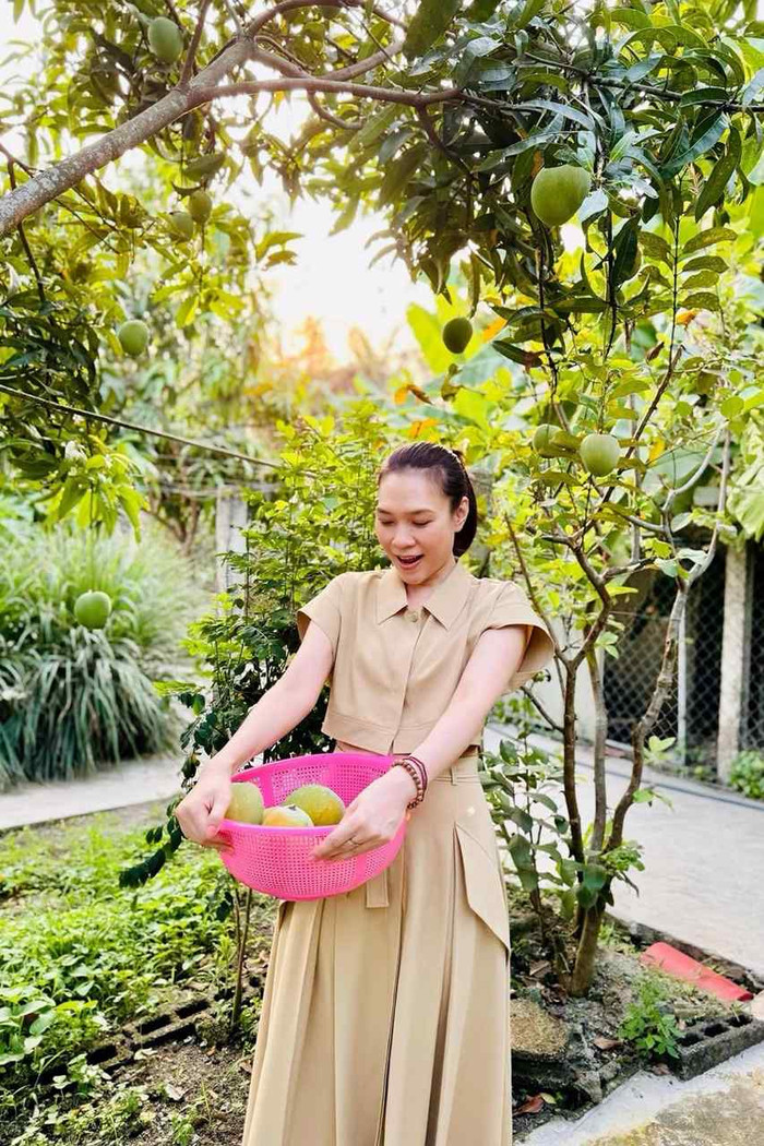 Cảnh tượng đặc biệt bên trong nhà vườn của Mỹ Tâm sau 4 năm Ảnh 4