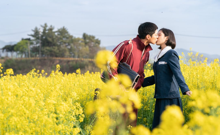 Đảo Jeju hiện lên như một nhân vật đặc biệt, góp phần tạo nên chiều sâu thị giác cho bộ phim