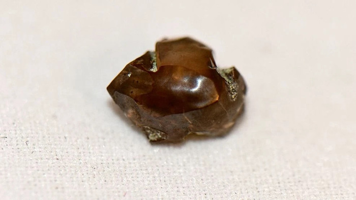 Nghe Siri chỉ đường, một gia đình 'đổi đời' sau chuyến đi đến công viên Ảnh 3