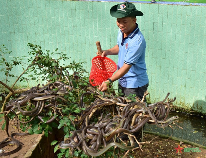 Ở quê Nam Em có một điểm đến 'rợn người' nhưng lại hút khách bậc nhất miền Tây Ảnh 4