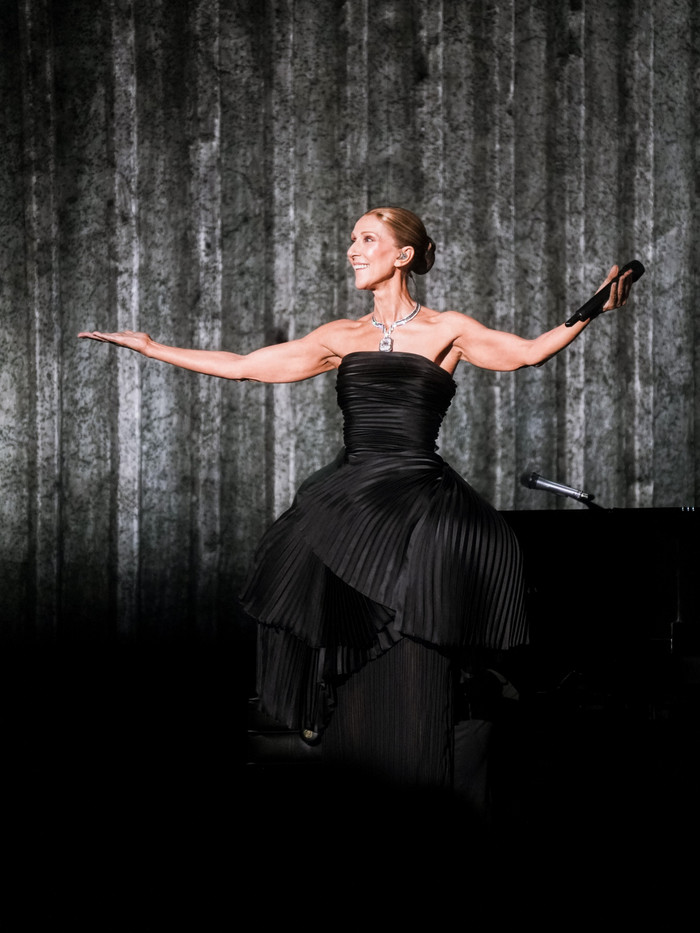 Paul McCartney khen Céline Dion là 'tài năng xuất chúng' sau màn tái xuất Ảnh 2