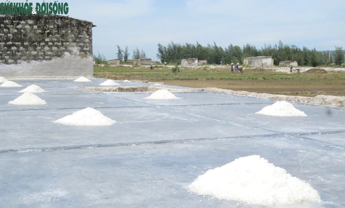 Xứ Nghệ quê bà xã Hồ Văn Cường có những cánh đồng 'trắng như tuyết' bên bờ biển, nắng lên đẹp lấp lánh Ảnh 4
