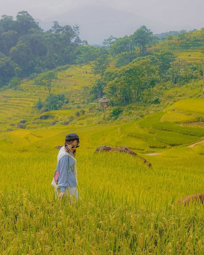 Ảnh: @thuhienn214