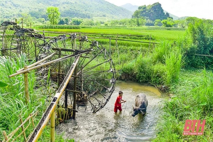 Những cọn nước ở Pù Luông - khung cảnh rất dễ bắt gặp khi đến vùng đất này. Ảnh: báo Thanh Hóa