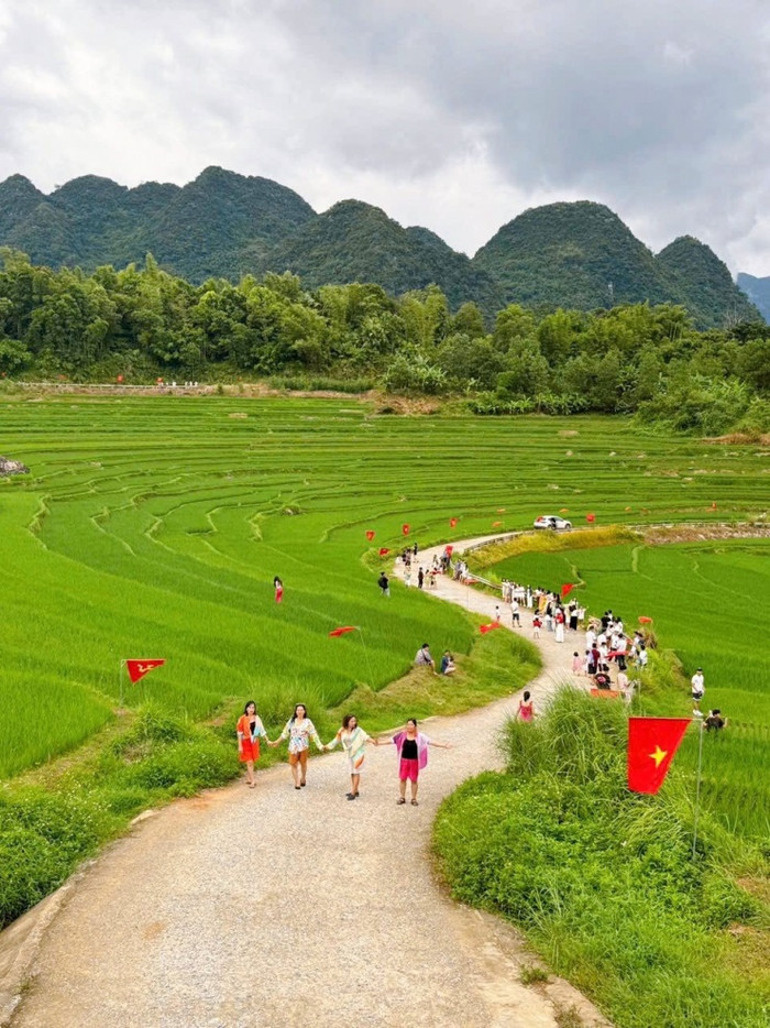 Ảnh Pu Luong Mist Valley