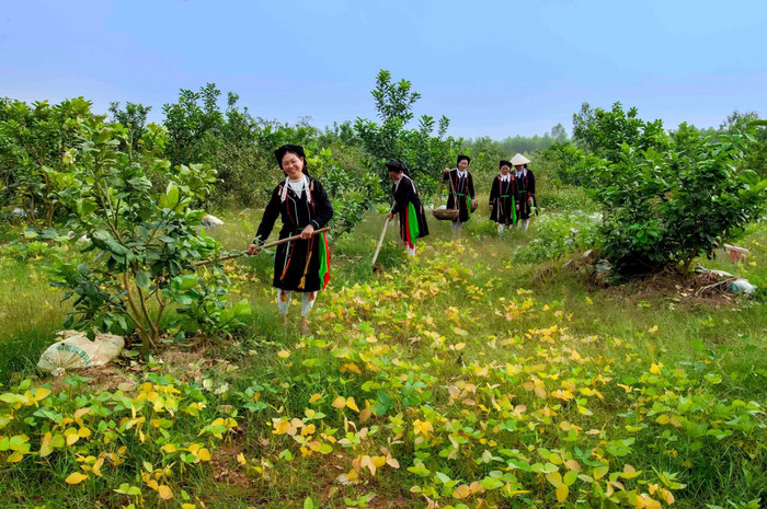 Đen Vâu về quê cùng Hoàng Thùy Linh thăm Tam Đảo, thử đi chợ quê thay vì chỉ tìm quán ăn nổi tiếng Ảnh 12