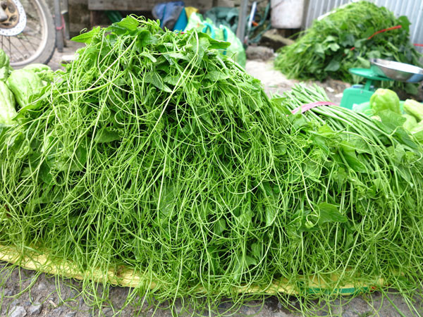 Đen Vâu về quê cùng Hoàng Thùy Linh thăm Tam Đảo, thử đi chợ quê thay vì chỉ tìm quán ăn nổi tiếng Ảnh 7