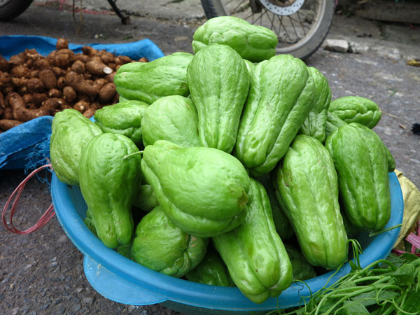 Đen Vâu về quê cùng Hoàng Thùy Linh thăm Tam Đảo, thử đi chợ quê thay vì chỉ tìm quán ăn nổi tiếng Ảnh 8
