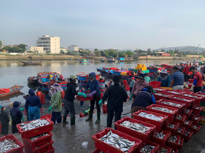 Chợ cá Nghi Thủy. Ảnh: Sức khỏe & Đời sống