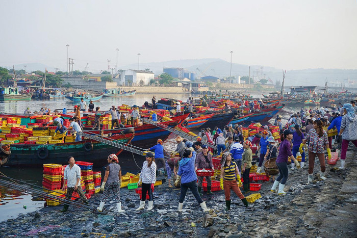 Khung cảnh nhộn nhịp lúc sáng sớm ở chợ hải sản. Ảnh: báo Nghệ An