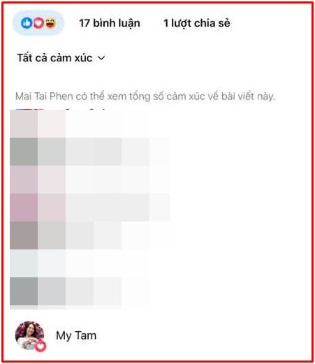 Mỹ Tâm để lại cảm xúc yêu thích dưới bài đăng của Mai Tài Phến.