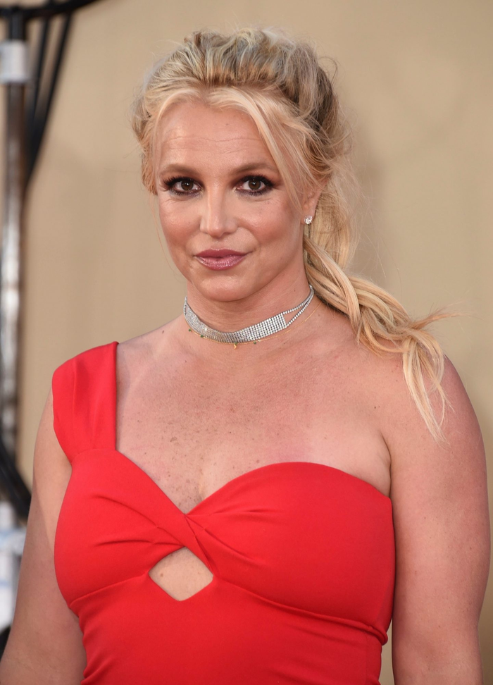 Tháng 2/2008, Britney Spears bị đặt dưới quyền giám hộ.
