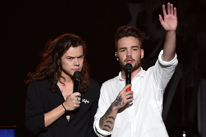 Harry Styles tưởng nhớ Liam Payne bằng ca khúc chưa từng công bố sau hai năm ngày mất Ảnh 5
