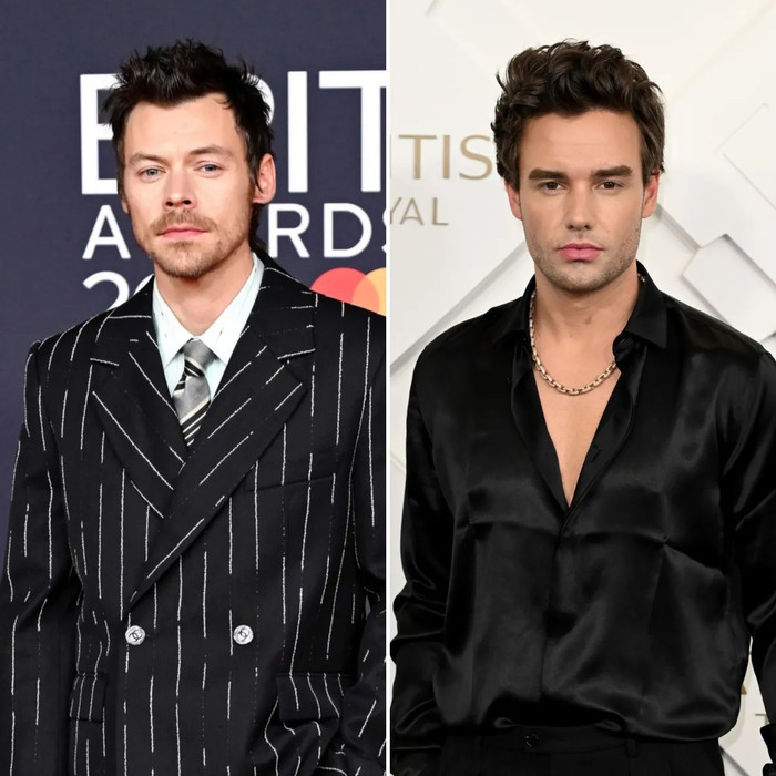 Harry Styles tưởng nhớ Liam Payne bằng ca khúc chưa từng công bố sau hai năm ngày mất Ảnh 4