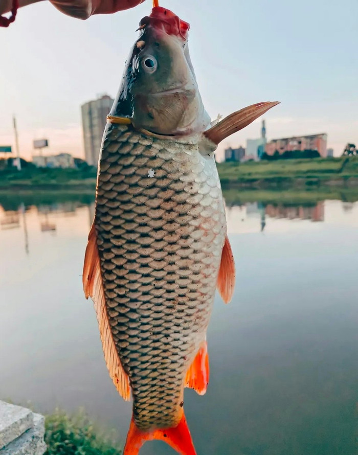 Ảnh minh họa.