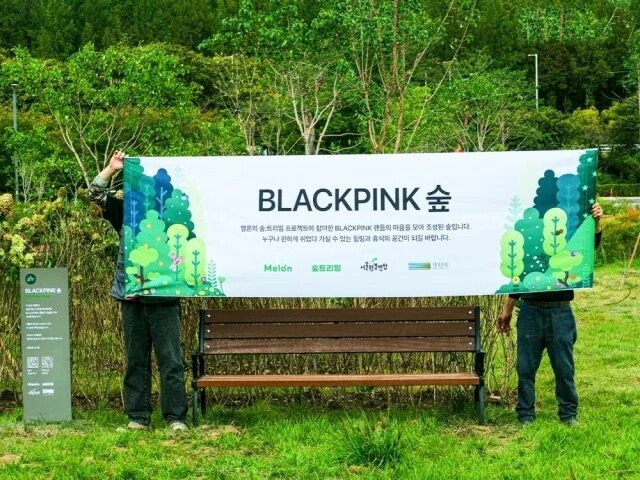BIGBANG, BLACKPINK, SHINee được đặt tên rừng tại Seoul Ảnh 1